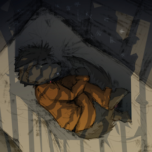 Bunk