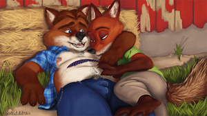 Comfort at Sunset