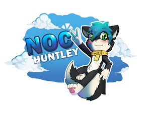 SD COMMISION for nochusky