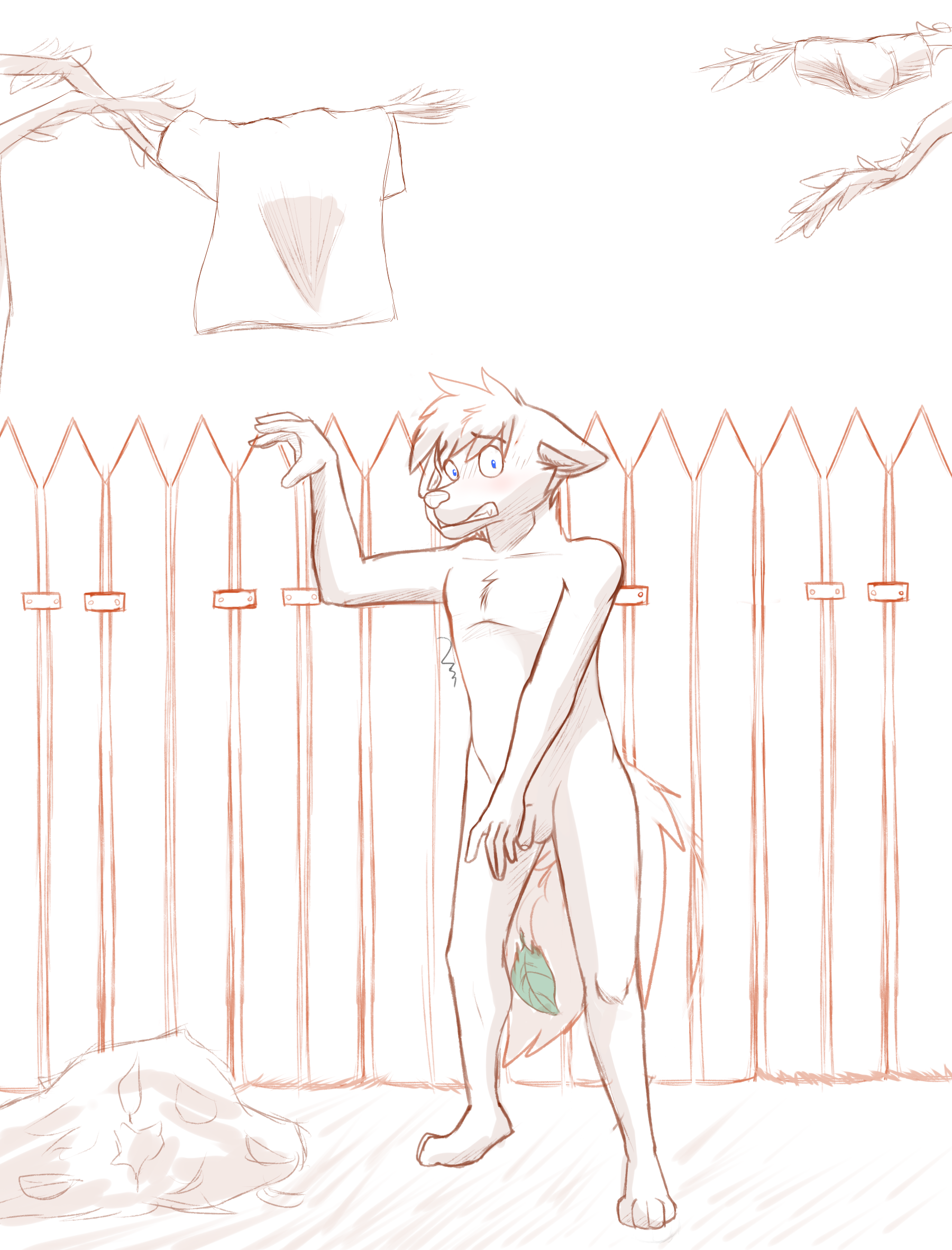 2438022_CookieFoxBrandon_raspat.png