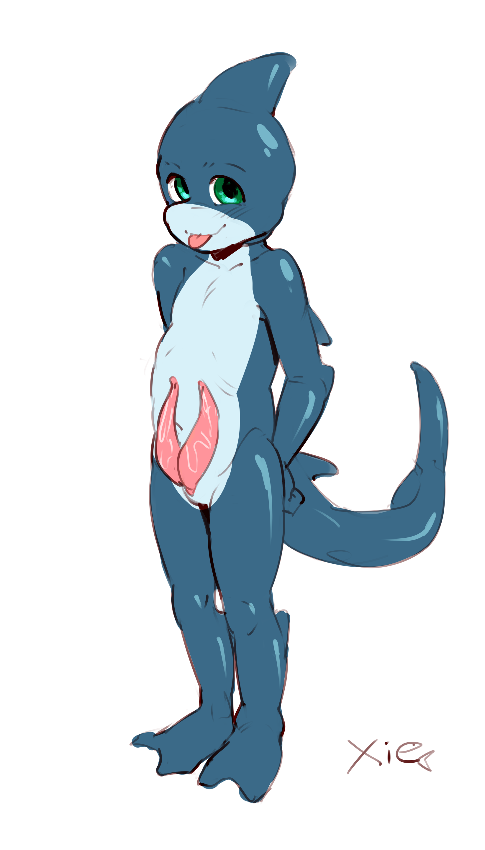 2448213_Xienoan_355_sharky_boner.png