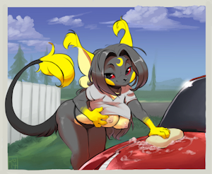 Femchu Car Wash
