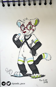 2454851_pandapaco_567trico.jpg