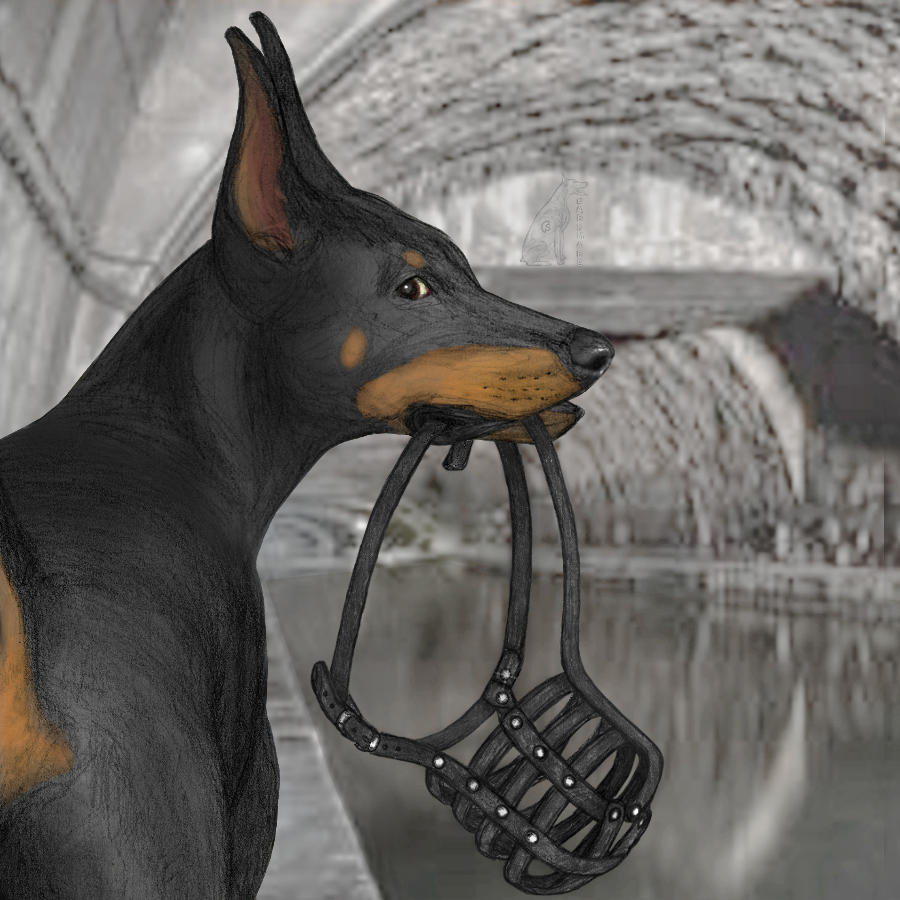 3116879_darkmare_explore2.png