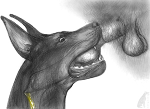 Doberdrink