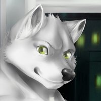 City Husky