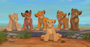 Nala and Five Lion Boys