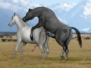 Riding Bareback