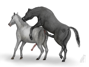 2513434_darkmare_backbacking.png