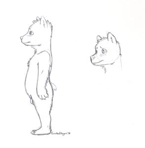 Boy Sketches