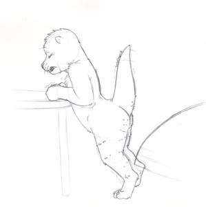 Otter Switching (Punishment/Discipline)