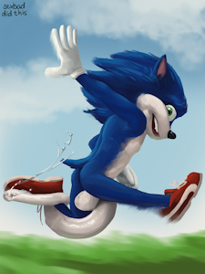 "Hi, I'm Sonic, and sometimes I trip over my foreskin."