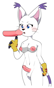 Gatomon Is Curious