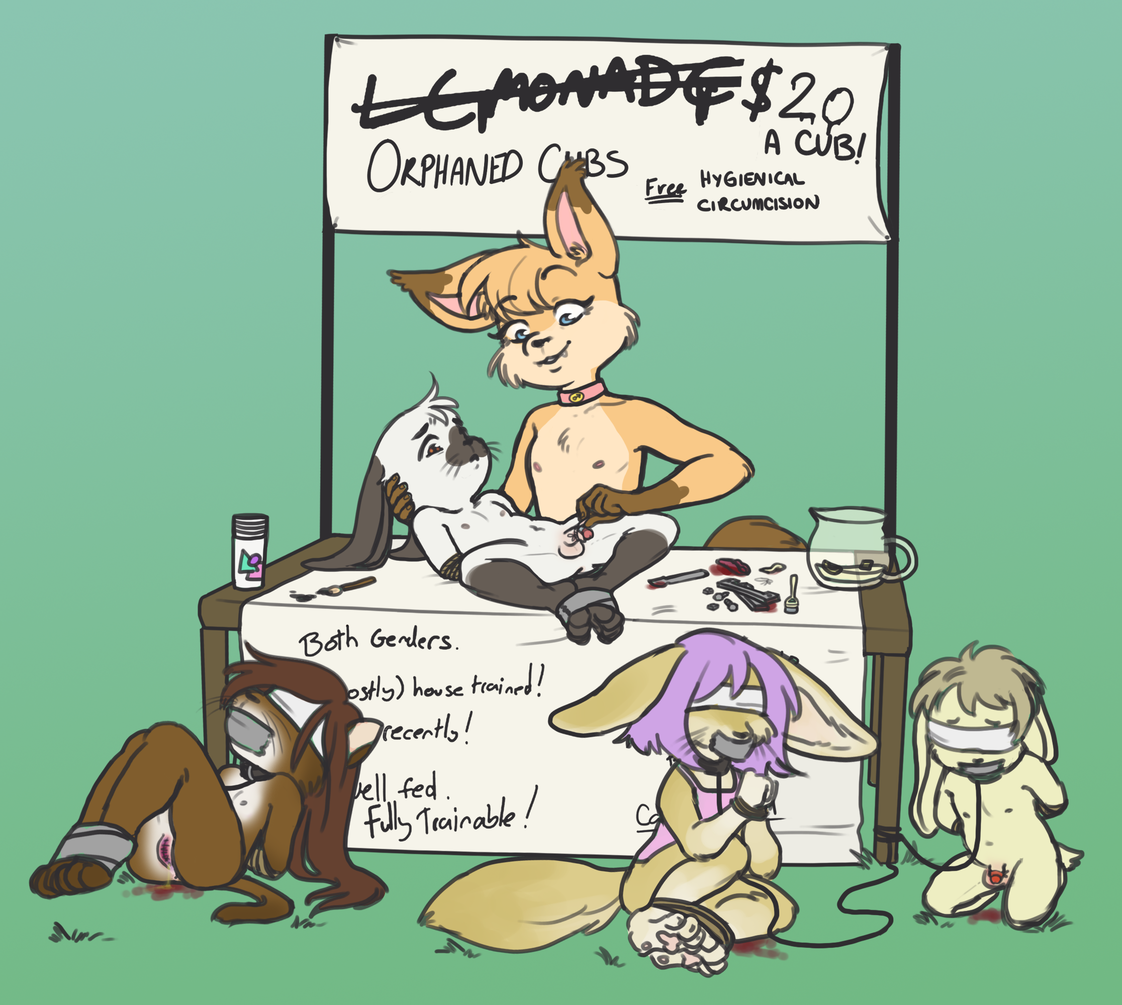 2541348_Vladimir_2403241_sunnykaro_-_gf_lemonade_stand_raider_circumcision_-_plastibell_infibulation.png