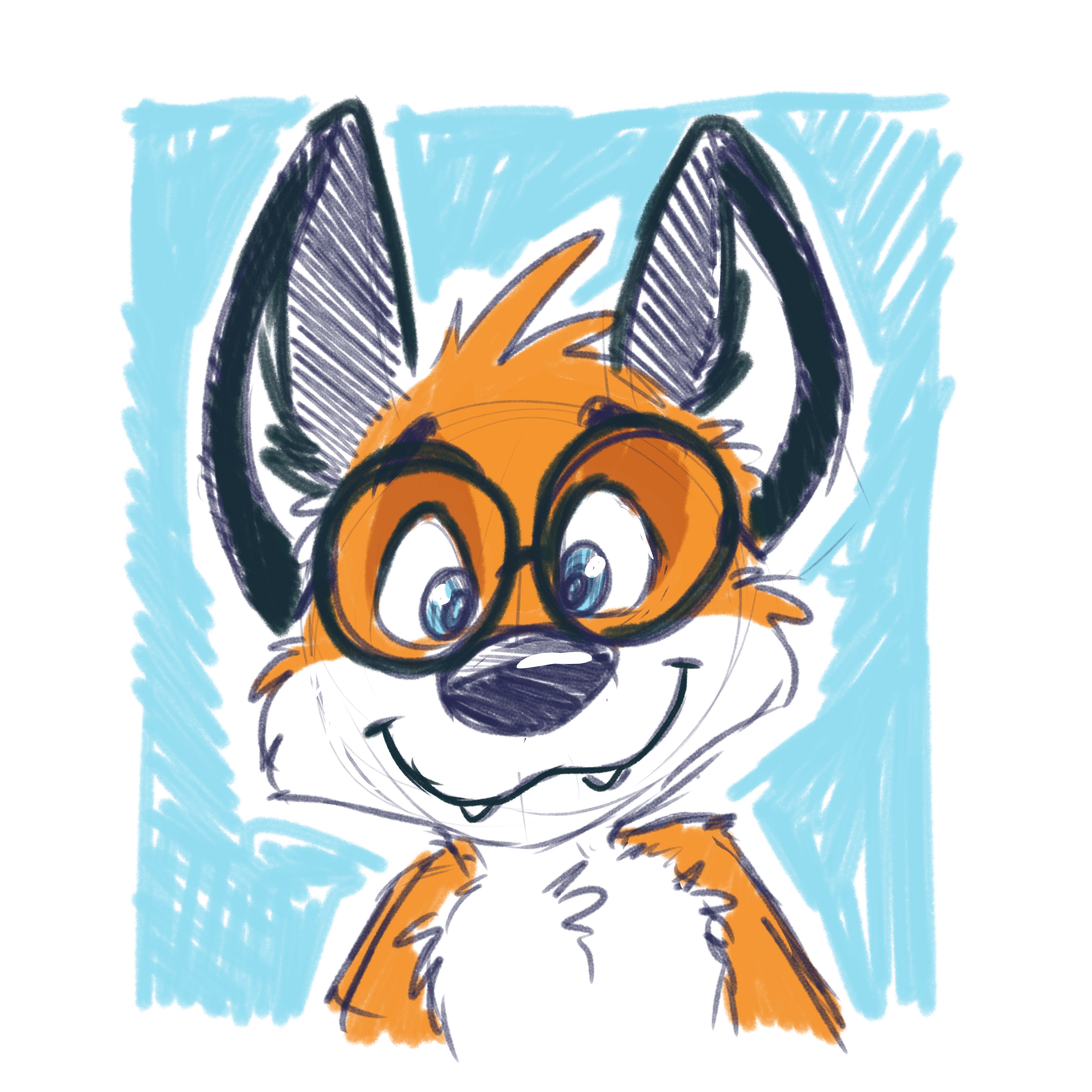 2552285_pandapaco_586kipfox.jpg