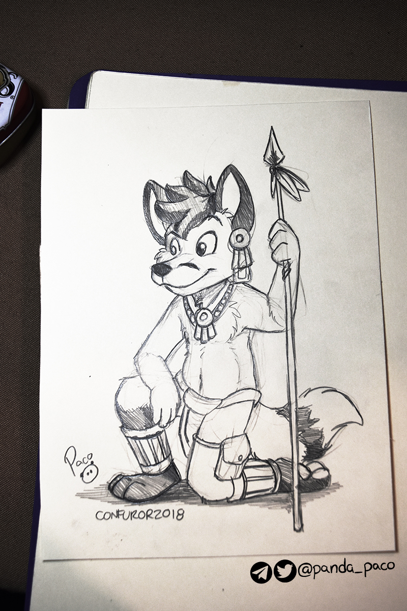 2552294_pandapaco_594vulpeko.jpg