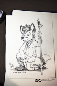 2552294_pandapaco_594vulpeko.jpg