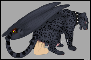 Scotty Panther's Practice