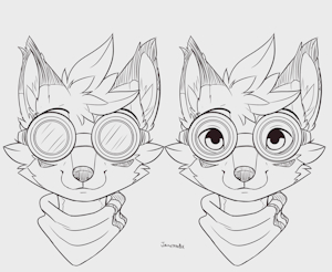 Using the Goggles