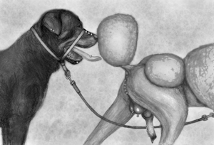 The Poodle Always Tops