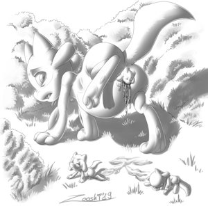Riolu born