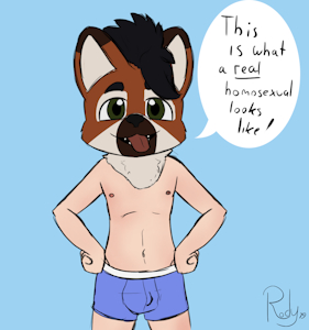 Fursuit head?