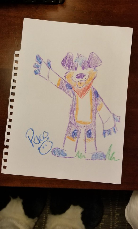 2579116_pandapaco_599tucker.jpg