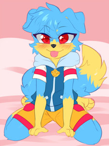 Comm:Veemonsito