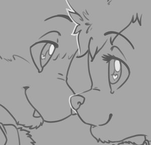new sketches style