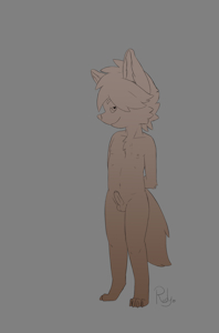 gay fennec