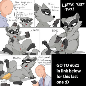 No Emergency Phones for Raccoons