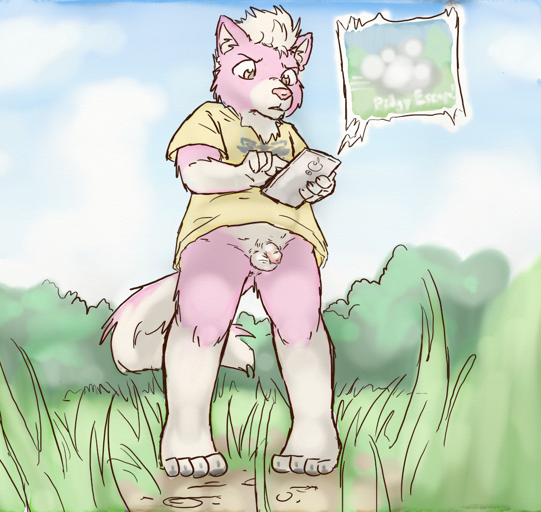 2598370_CookieFoxBrandon_1806_brandon.png