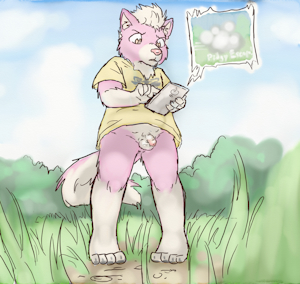 2598370_CookieFoxBrandon_1806_brandon.png