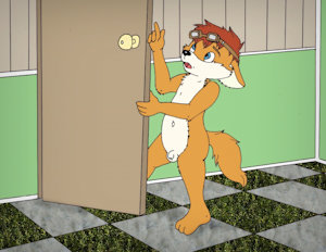 2598416_CookieFoxBrandon_1413462_nelson88_brandon.jpg