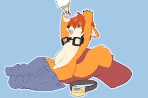 2599475_CookieFoxBrandon_zkcjcz-g.png