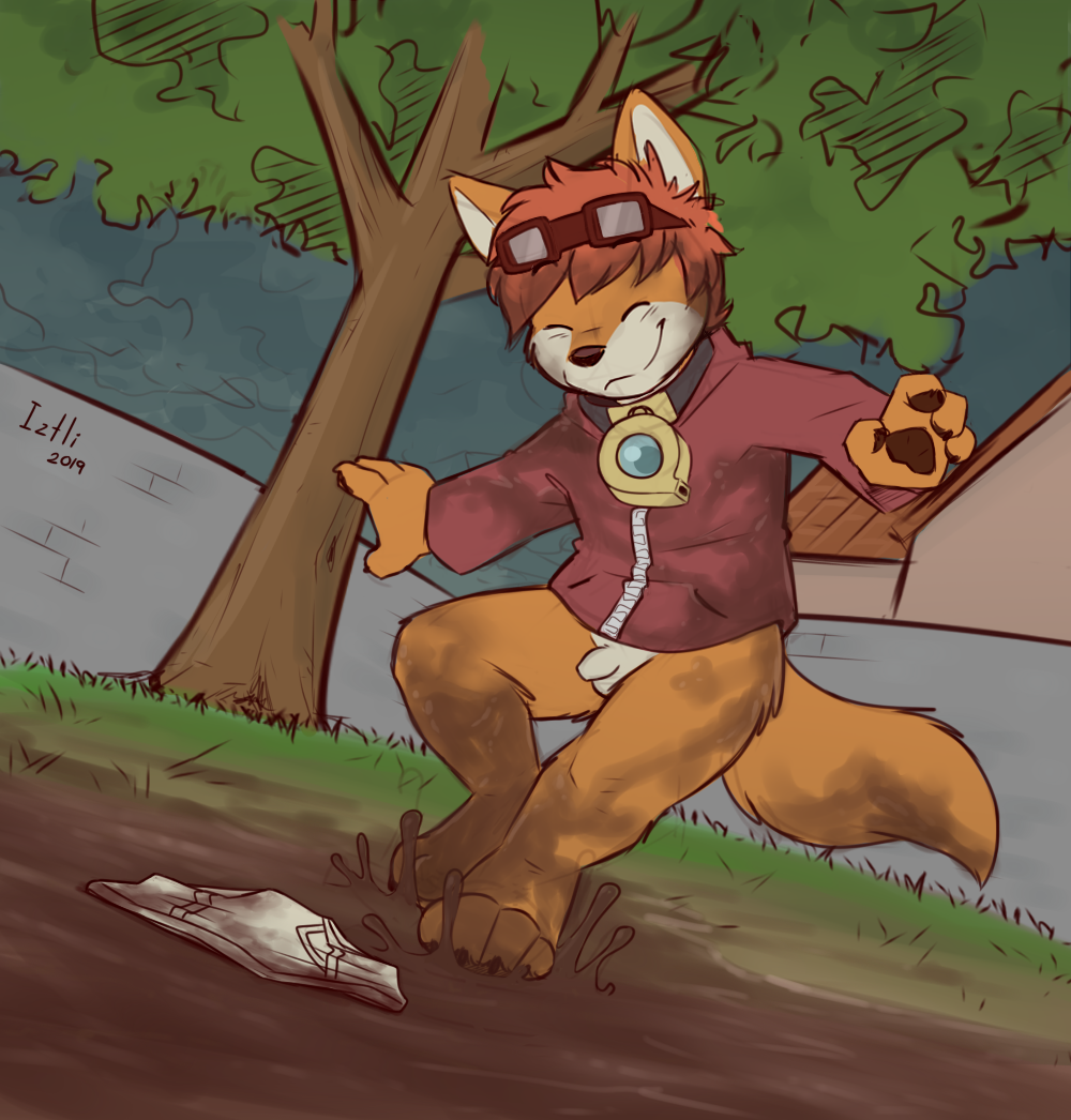 2599527_CookieFoxBrandon_c1.png