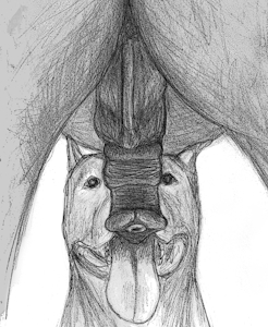 Favorite Toy [sketch]