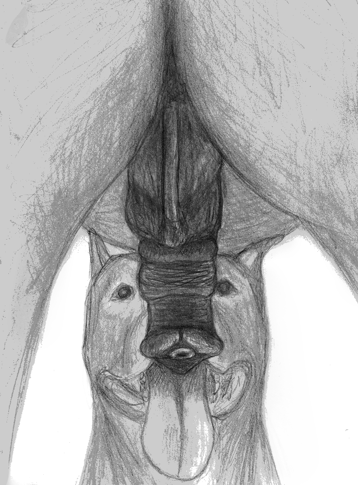 2613604_darkmare_favoritetoy2.png