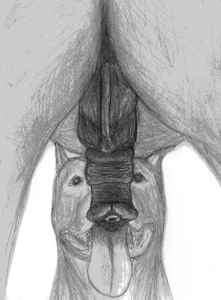 2613604_darkmare_favoritetoy2.png