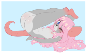 Nina Stretch??