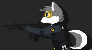 Shooting/射击