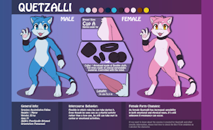Quetzalli Reference