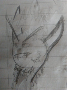 'portrait'