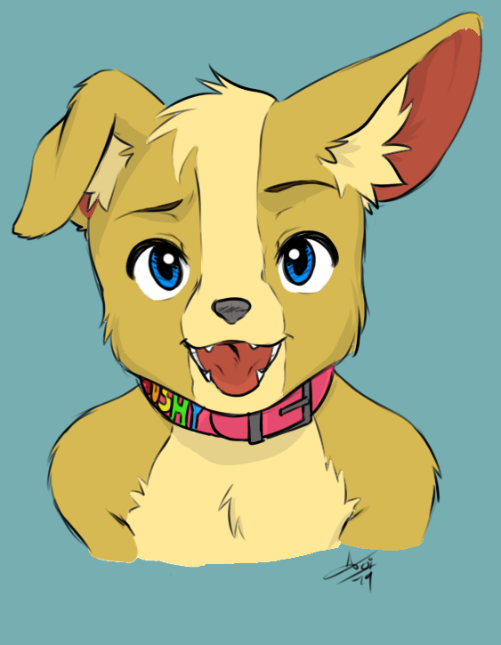 4326661_kibaru_2bsfw_copy.png
