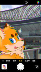 Selfie/自拍