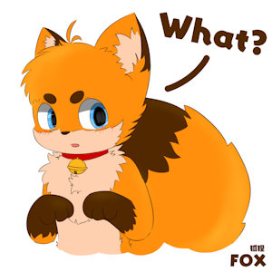 What?/啥？