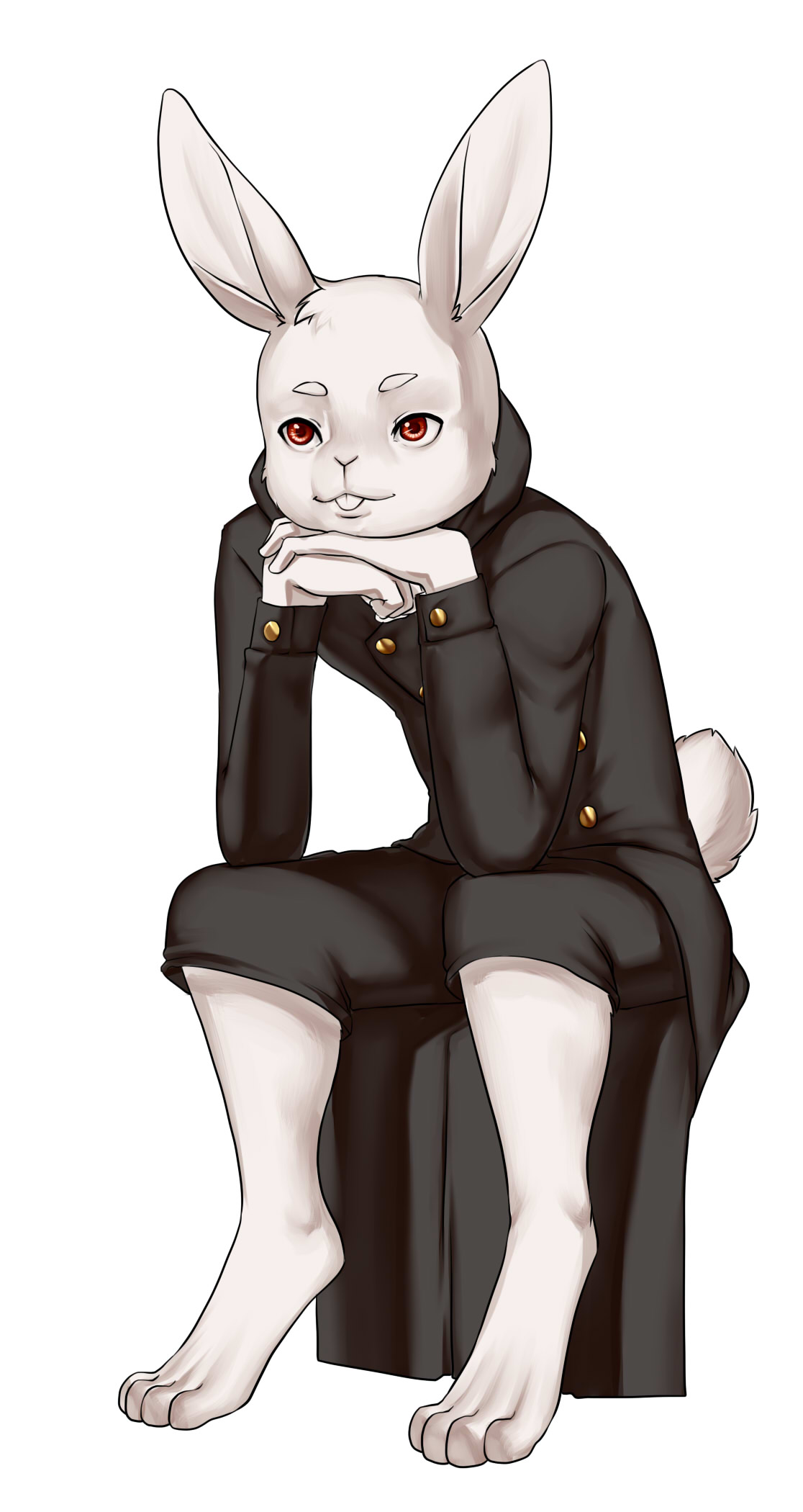 3006897_Aogami_1a.jpg