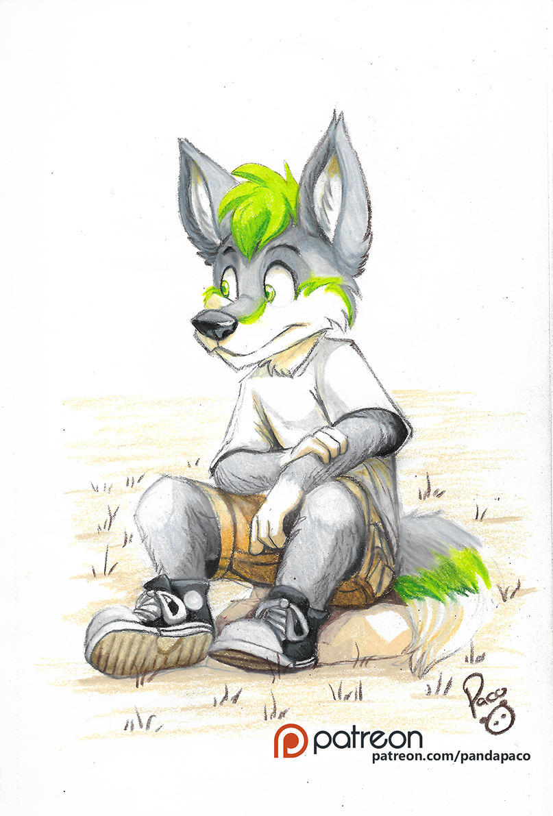 2668766_pandapaco_614fylwind.png