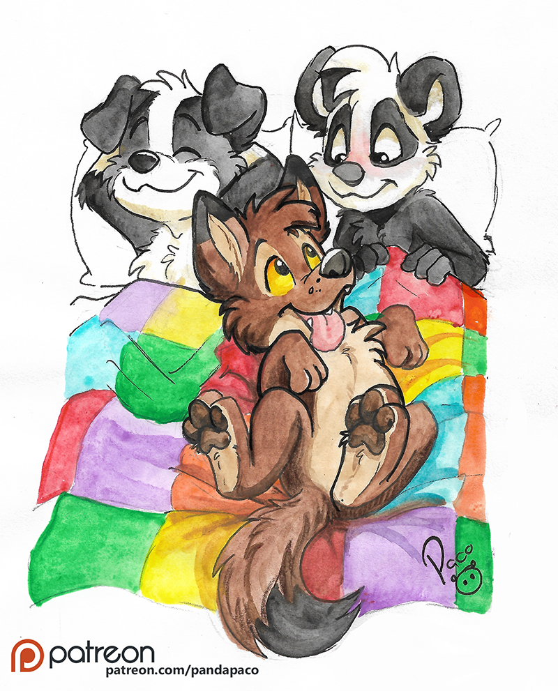 2668770_pandapaco_618tk_roni_paco.png