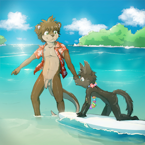 Surf Lessons
